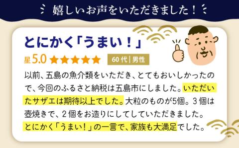 【2025年1月先行予約】五島の天然さざえ 約1.5kg 鮮魚 【五島FF】[PBJ008] サザエ 栄螺 貝 海鮮 BBQ 壺焼き 刺身 冷蔵