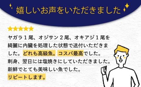 旬の地魚セット2kg（ウロコ/エラ/内臓処理済） 五島市/五島FF[PBJ009]