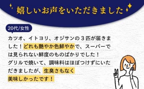 旬の地魚セット2kg（エラ/内臓処理済） 五島市/五島FF[PBJ010]