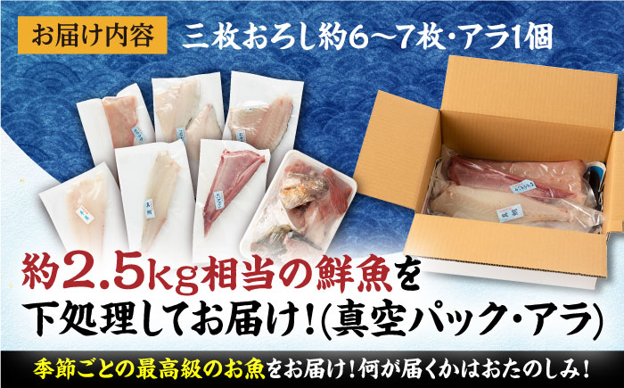 【五島列島産】高級朝獲れ鮮魚 約2.5kg（真空パック/下処理済） 五島市/マルセイ水産[PBT002]鮮魚