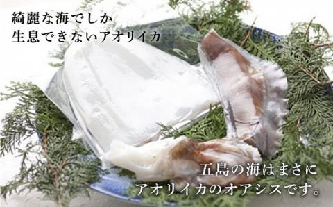 【五島列島産】最高級アオリイカ1kg-1.2kg（下処理前） 五島市/マルセイ水産[PBT003]  刺身 冷凍 いか 海鮮 あおりいか 海産物