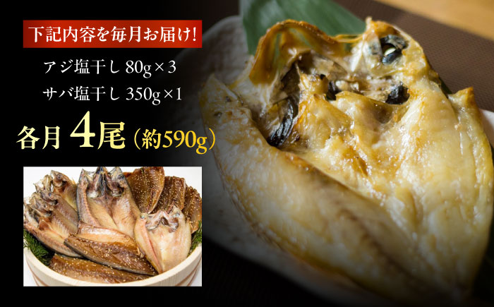 【12回定期便】【S】一夜干し 塩干し（アジ/サバ）計4尾 五島市/愛情食彩[PCH012]