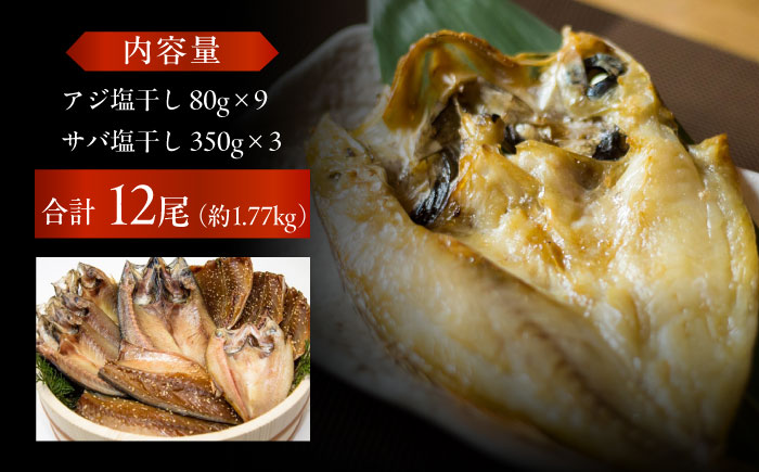【L】一夜干し 塩干し（アジ/サバ）計12尾 五島市/愛情食彩[PCH025]
