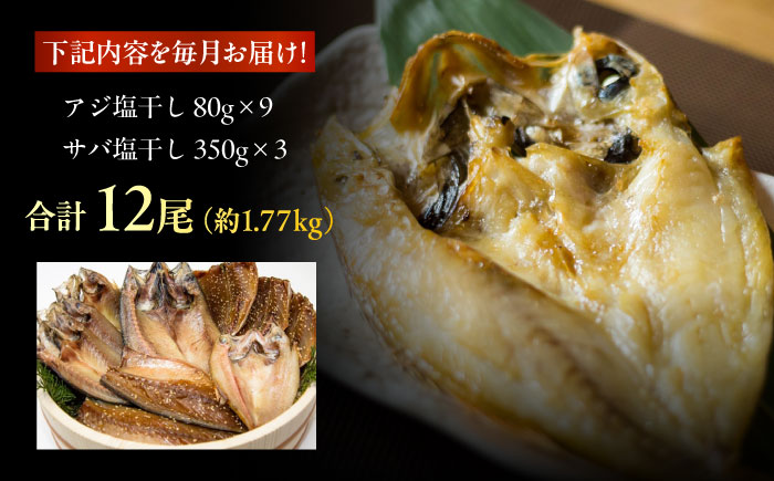 【3回定期便】【L】一夜干し 塩干し（アジ/サバ）計12尾 五島市/愛情食彩[PCH026]