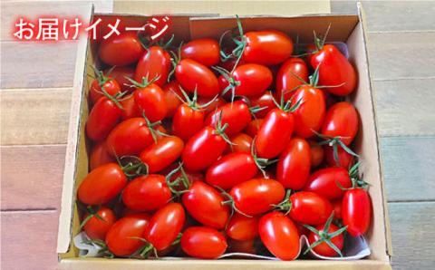 【食卓にトマトで彩りと笑顔を！】あまくておいしい！ミニトマト約2kg【野口とまと】[PCJ001]