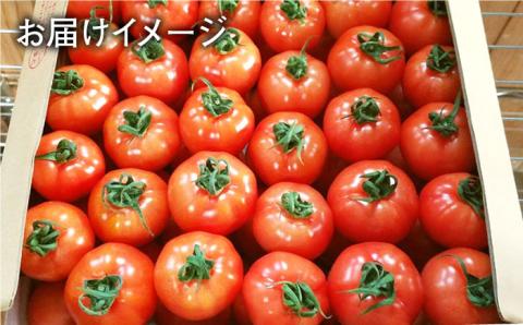 【食卓にトマトで彩りと笑顔を！】新鮮なフルティカ 約2kg【野口とまと】[PCJ004]