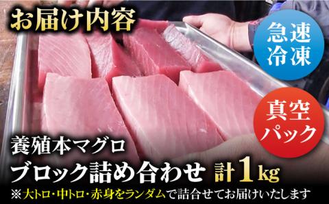 本マグロブロック詰合せ1kg（養殖） 五島市/奥浦海鮮直売所[PCL001]  マグロ まぐろ 鮪 柵 刺身 さしみ とろトロ 刺し身 冷凍 魚 鮮魚刺身柵