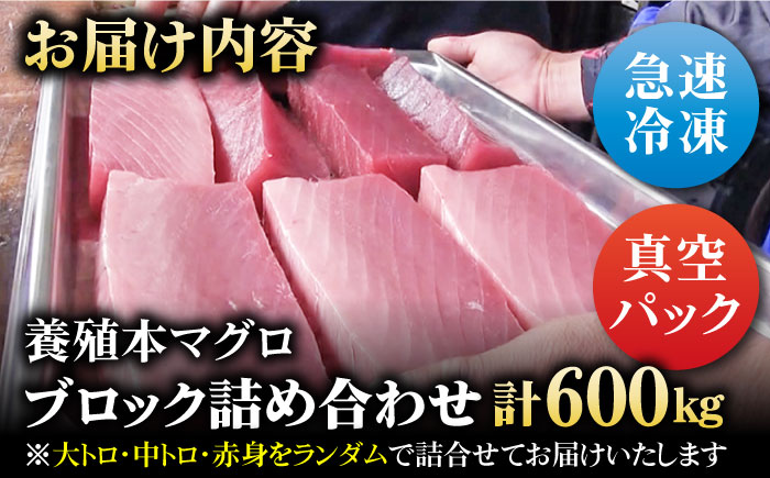 本マグロブロック詰合せ600g（養殖）五島市/奥浦海鮮直売所[PCL012]  柵 刺身 マグロ まぐろ 鮪 さしみ とろ トロ 刺し身 冷凍 魚 鮮魚 刺身柵
