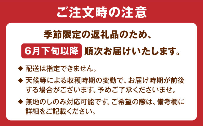 【先行予約】栄養満点 五島産完熟マンゴー (3玉入) 五島市/HPIファーム [PCP001]