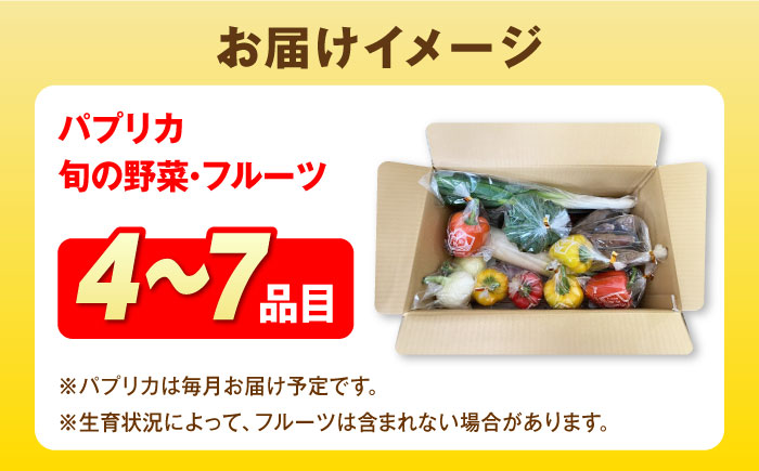 パプリカと旬の野菜・フルーツ詰め合わせ 五島市/HPIファーム [PCP011]