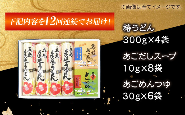 【12回定期便】【コシのある細麺】五島うどん4袋（だし付）五島市/中本製麺[PCR028]
