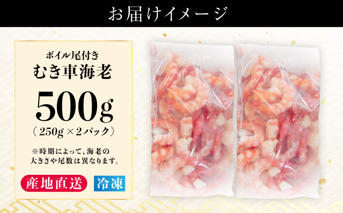 五島特産 ボイル車海老500g（250g×2P） 五島市/拓水 五島事業場[PCU004]車海老エビ 尾付き むきえび