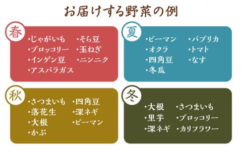 何が届くかはお楽しみ 椿やさいの野菜セット(8-10品)詰合せ 五島市/いきいきファーム [PCY001]