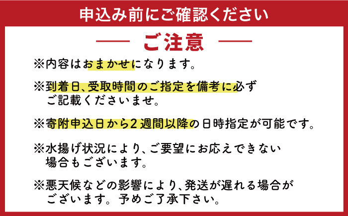 【五島列島直送】朝獲れ鮮魚セット6kg 五島市/鯛福丸水産[PDP012]   魚 鮮魚 セット 海鮮 直送 さかな 詰合せ 冷蔵