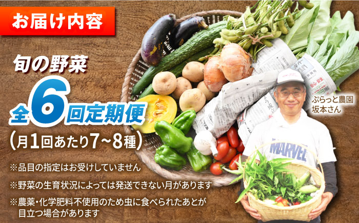 【全6回定期便】有機農法・旬の野菜詰め合わせ 野菜セット 五島市/ぷらっと農園 [PDS008]