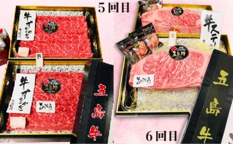 【6回定期便】五島牛タイプB（ソース付） 五島市/鬼岳牧場[PEK030]