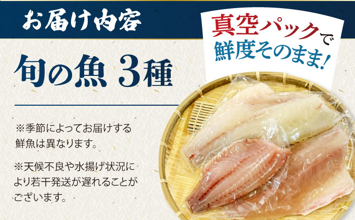 【冷蔵】【下処理済】鮮魚ボックス3種 五島市/金沢鮮魚[PEP007]  鮮魚 冷蔵 真空パック 新鮮 下処理済み 海鮮 刺身 お刺し身 お刺身 おさしみ セット 魚 魚介 魚介類 金澤仕立て  鮮魚 冷蔵 真空パック 新鮮 下処理済み 海鮮 刺身 セット