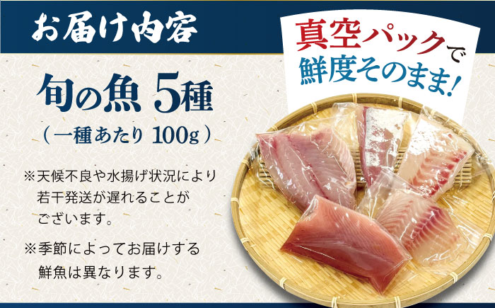 【下処理済】超速冷凍鮮魚5種 五島市 / 金沢鮮魚[PEP018]  柵 冷蔵 真空パック 新鮮 下処理済み 海鮮 刺身 セット さしみ お刺身 おさしみ お刺し身 鮮魚 魚魚 鮮魚 鮮魚ボックス