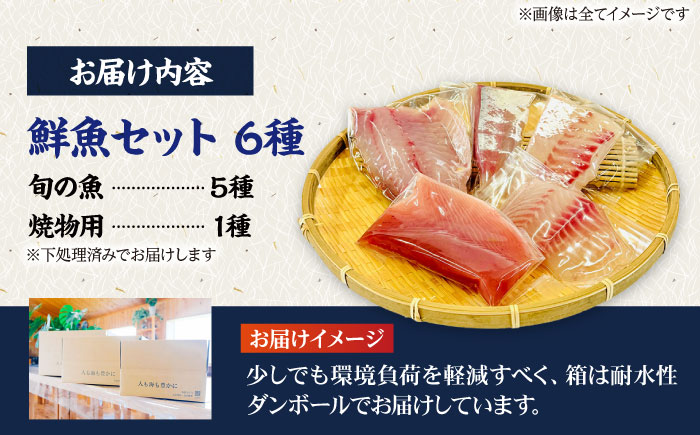 【12回定期便】【下処理済】超速冷凍鮮魚6種（5種+焼物用1種） 五島市/金沢鮮魚[PEP067]魚 鮮魚 鮮魚ボックス