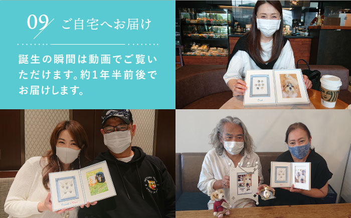 真珠葬 / ペット 供養 遺骨 真珠 思い出 五島市 / ウービィー株式会社 [PEZ001]