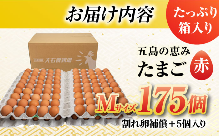 【箱入り】五島の恵みたまご Mサイズ 175個入 / 卵 赤玉子 五島市 / 五島列島大石養鶏場 [PFQ006]