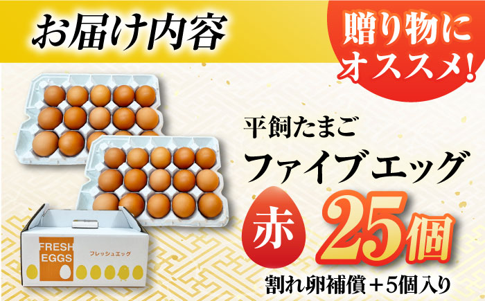【箱入り】平飼たまご ファイブエッグ M～Lサイズ 25個 / 5EGG 卵 赤玉子 五島市 / 五島列島大石養鶏場 [PFQ035]
