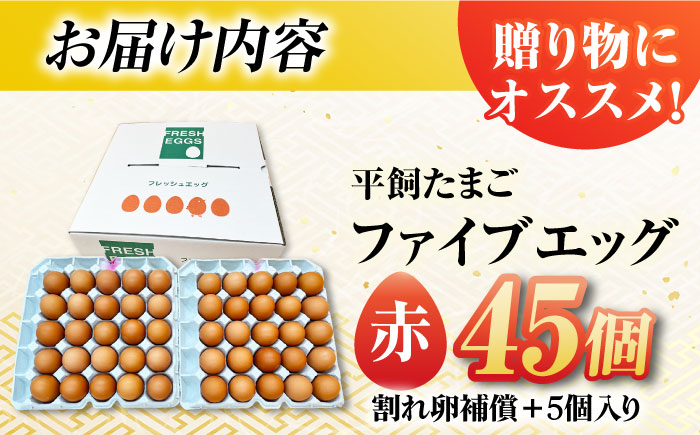 【箱入り】平飼たまご ファイブエッグ M～Lサイズ 45個 / 5EGG 卵 赤玉子 五島市 / 五島列島大石養鶏場 [PFQ036]