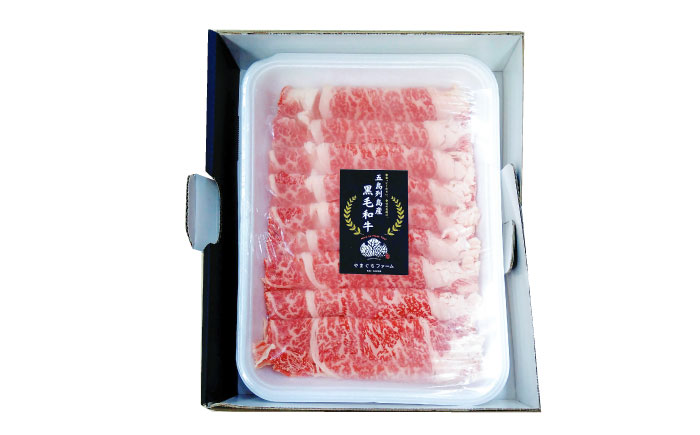 【全12回定期便】五島列島産 黒毛和牛 すき焼き用 肩ローススライス 500g 五島市/山口Farm [PGJ004]