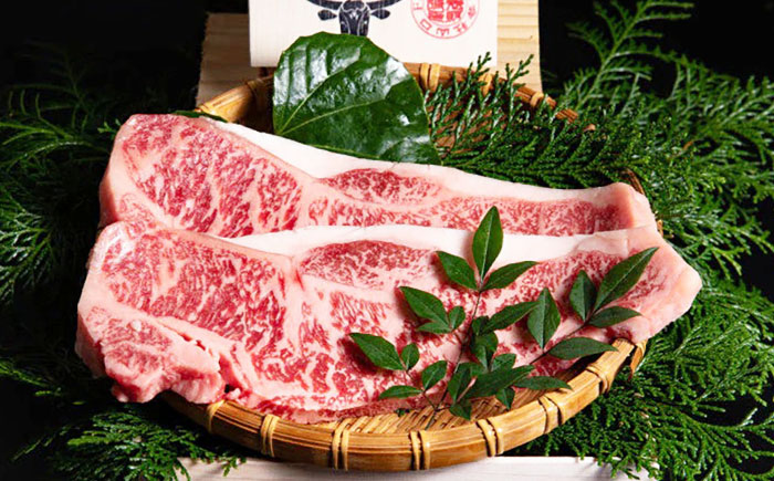 【全3回定期便】五島列島産 黒毛和牛 サーロインステーキ 250g×2枚 五島市/山口Farm [PGJ018]