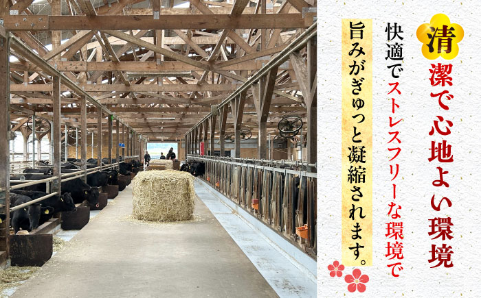 【6回定期便】五島列島産 黒毛和牛 焼肉上カルビ 500g 五島市/山口Farm [PGJ059]