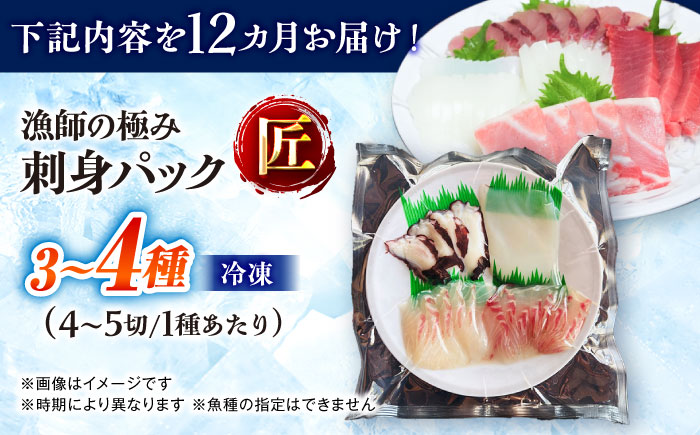 【12回定期便】漁師の極み刺身パック（匠）1皿 五島市/Sun Sea Go Company 魚 おまかせ お任せ 鮮魚 五島列島 [PGL024]