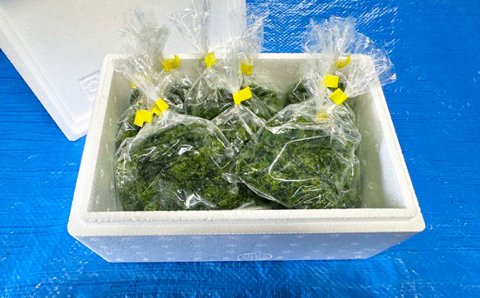 五島産あおさ　30g×10袋　五島市/真栄丸 [PGR001]