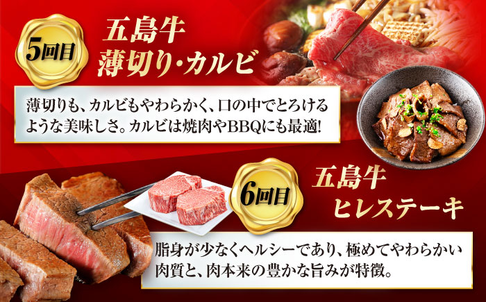 【6回定期便】大満足！五島牛 ファミリー特撰コース 五島市/五島市ふるさと納税 [PZX029]