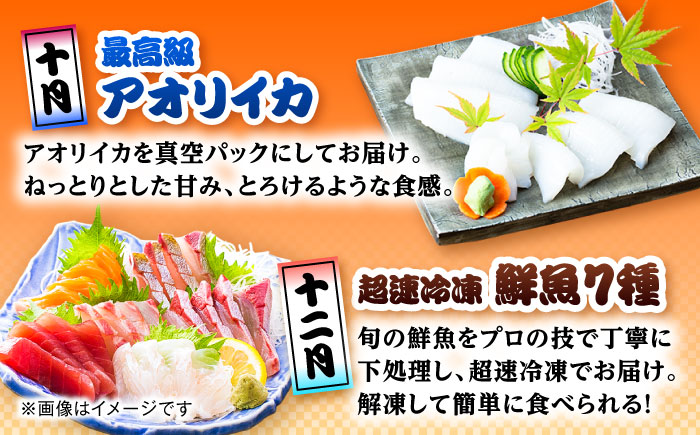 【6回定期便】五島のお魚！満喫定期便（4人前）/五島市 [PZX055]