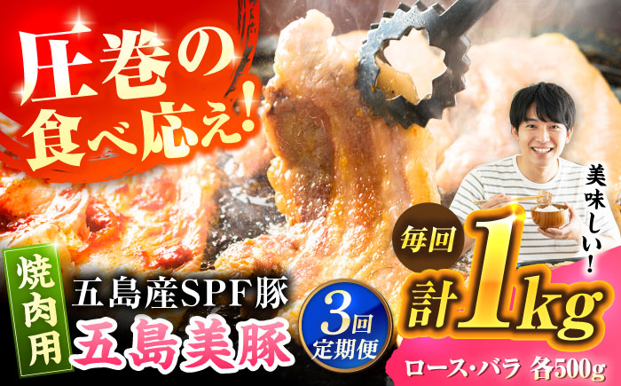 【3回定期便】五島美豚焼肉1kg（ロース500g バラ500g） 五島市/ごとう農業協同組合[PAF007]  焼肉 定期便 焼肉 定期便 焼肉 定期便 焼肉 定期便