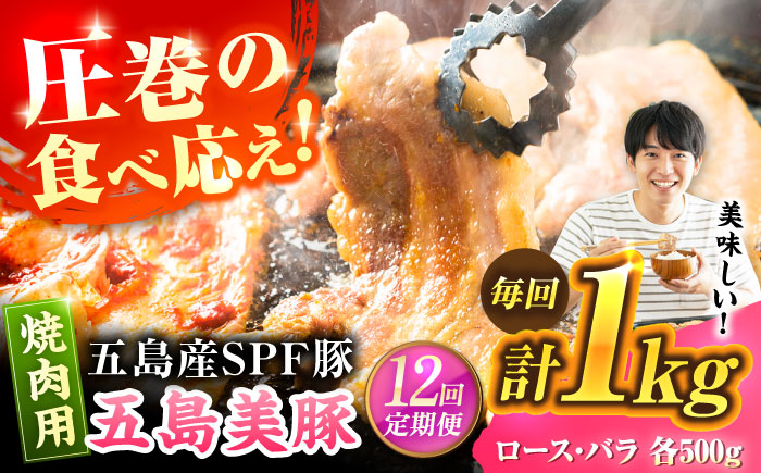 【12回定期便】五島美豚焼肉1kg（ロース500g バラ500g） 五島市/ごとう農業協同組合[PAF015]