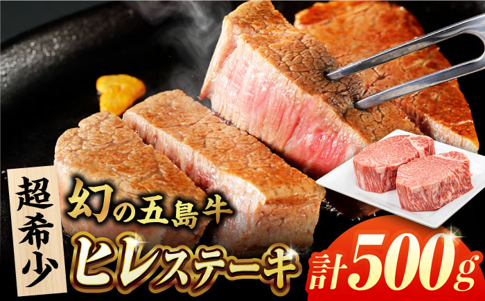 五島牛ヒレ 250g×2枚 牛肉 国産 希少 BBQ 牛肉 牛 ヒレ肉 五島市/ごとう農業協同組合 [PAF032]