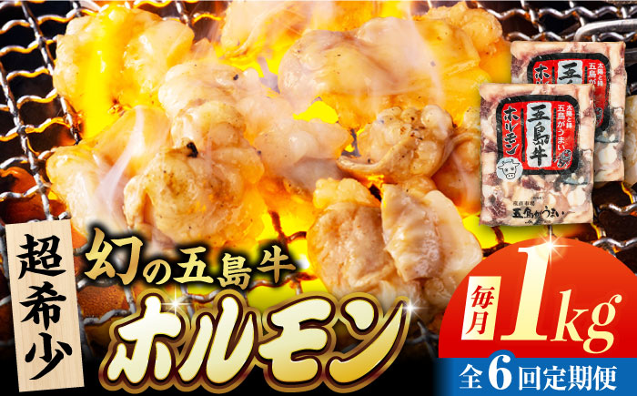 【6回定期便】幻の五島牛ホルモン 1kg 味無し 五島市/ごとう農業協同組合 [PAF092]