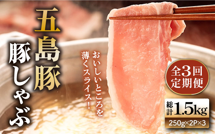 【3回定期便】五島豚の豚しゃぶ500g（250g×2パック） 五島市/ニク勝[PBF015]  しゃぶしゃぶ 豚肉 国産 五島 肉 ぶたしゃぶ 豚しゃぶ