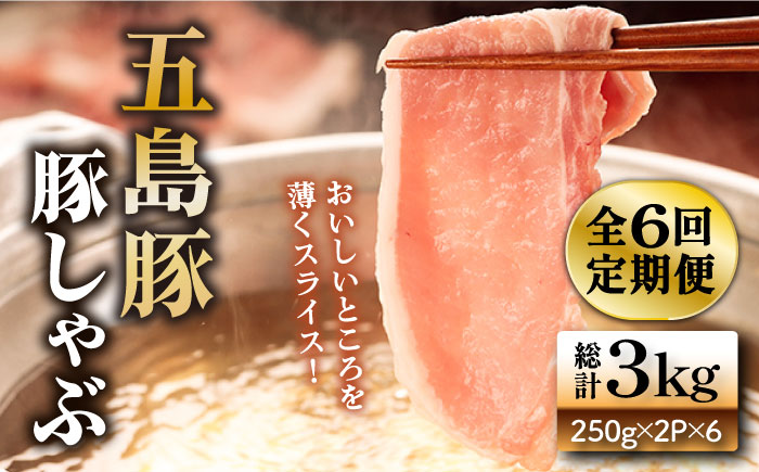 【6回定期便】五島豚の豚しゃぶ500g（250g×2パック） 五島市/ニク勝[PBF022]  しゃぶしゃぶ 豚肉 国産 五島 肉 ぶたしゃぶ 豚しゃぶ
