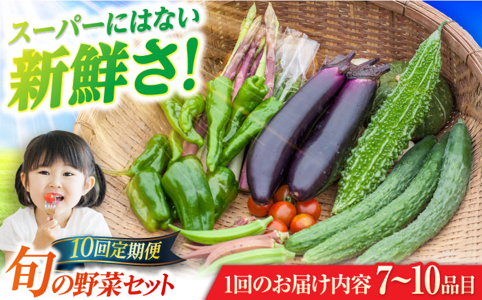 【全10回定期便】旬の野菜セット（7-10品目10kg未満）野菜 やさい 詰め合わせ セット五島市/やぁしゃ便 [PBG001]