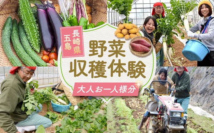 旬野菜の収穫体験 お土産の特典付　大人1人分　五島市/株式会社五島のやぁしゃ便 [PBG006]