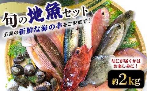 旬の地魚セット2kg（エラ/内臓処理済） 五島市/五島FF[PBJ010]