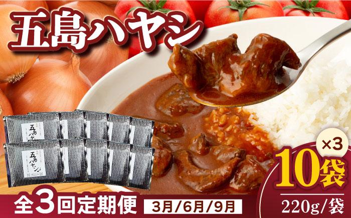 【全3回定期便】【五島牛と五島産の食材を使用したレトルト商品】こだわりの五島ハヤシ10箱セット【出口さんご】 [PBK019]
