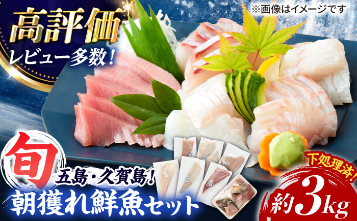 【五島列島産】高級朝獲れ鮮魚 約3kg（真空パック/下処理済） 五島市/マルセイ水産[PBT001]  刺身 五島 久賀島 海鮮 セット 旬 さかな さしみ