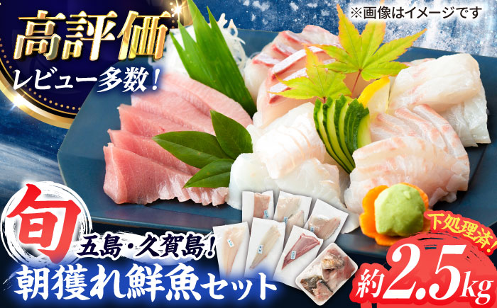 【五島列島産】高級朝獲れ鮮魚 約2.5kg（真空パック/下処理済） 五島市/マルセイ水産[PBT002]鮮魚