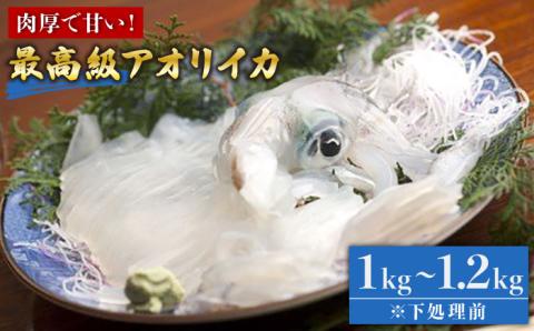 【五島列島産】最高級アオリイカ1kg-1.2kg（下処理前） 五島市/マルセイ水産[PBT003]  刺身 冷凍 いか 海鮮 あおりいか 海産物