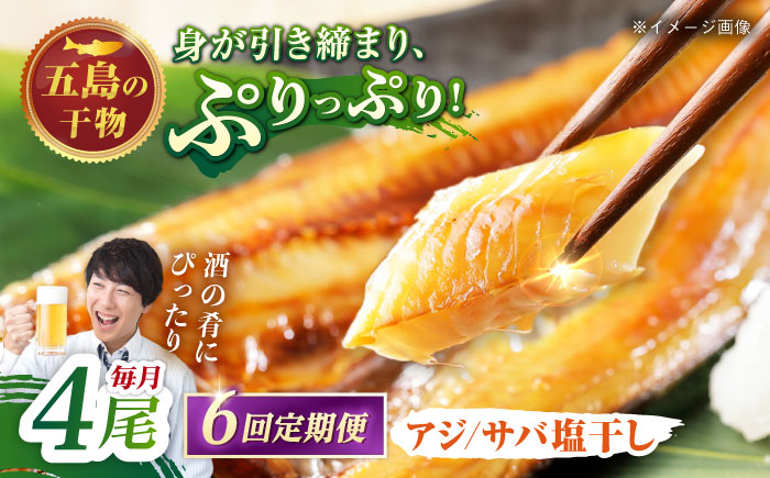 【6回定期便】【S】一夜干し 塩干し（アジ/サバ）計4尾 五島市/愛情食彩[PCH011]