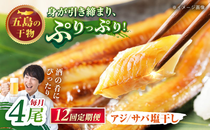 【12回定期便】【S】一夜干し 塩干し（アジ/サバ）計4尾 五島市/愛情食彩[PCH012]