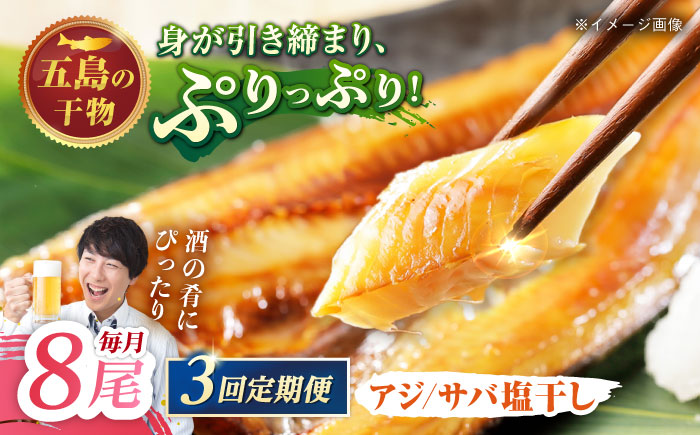 【3回定期便】【M】一夜干し 塩干し（アジ/サバ）計8尾 五島市/愛情食彩[PCH018]